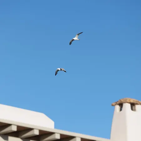 Anali, Kastraki, Naxos